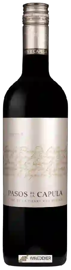 Winery Pasos de la Capula - Tempranillo