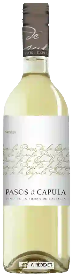 Winery Pasos de la Capula - Verdejo