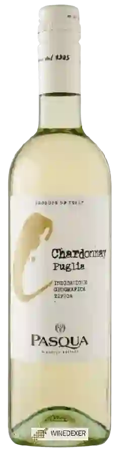 Winery Pasqua - Chardonnay