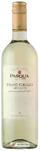 Winery Pasqua - Le Collezioni Pinot Grigio