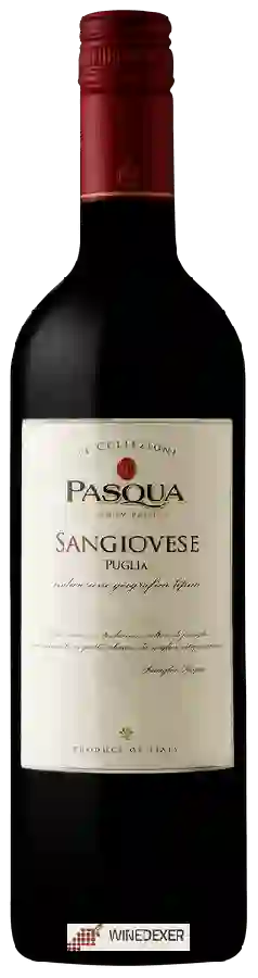 Winery Pasqua - Le Collezioni Sangiovese Winery Pasqua - Le Collezioni Sangiovese