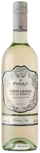 Winery Pasqua - Pinot Grigio delle Venezie