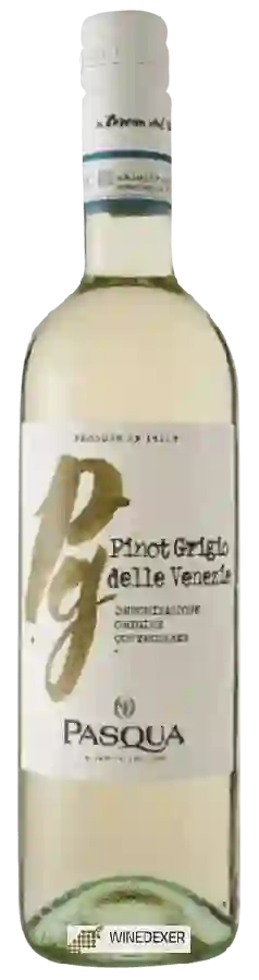 Winery Pasqua - Pinot Grigio delle Venezie Winery Pasqua - Pinot Grigio delle Venezie