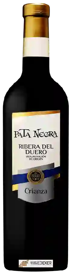 Winery Pata Negra - Ribera del Duero Crianza