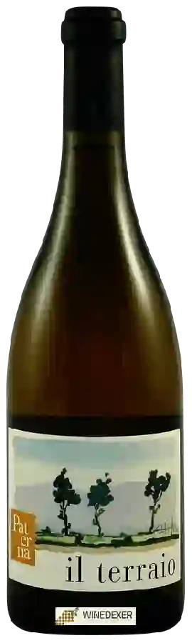 Winery Paterna - Il Terraio Winery Paterna - Il Terraio