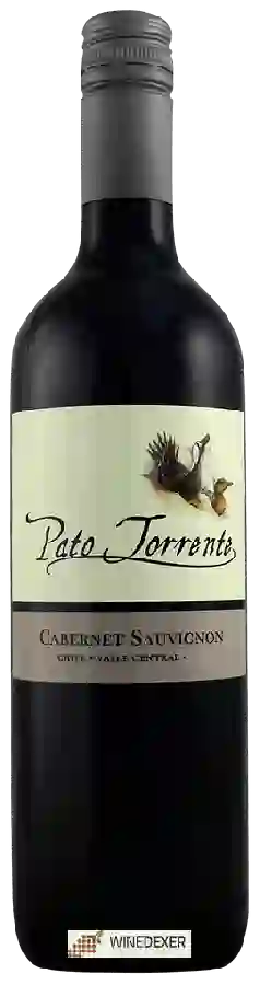 Winery Pato Torrente - Cabernet Sauvignon