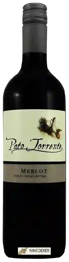 Winery Pato Torrente - Merlot