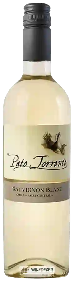 Winery Pato Torrente - Sauvignon Blanc