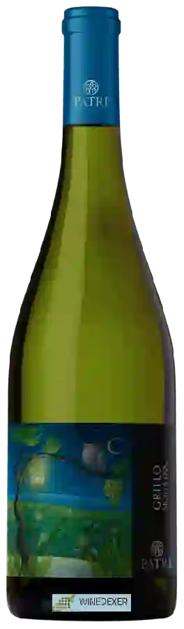 Winery Patri - Grillo