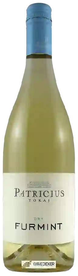 Winery Patricius - Furmint Dry
