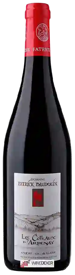 Domaine Patrick Baudouin - Les Coteaux d'Ardenay Anjou