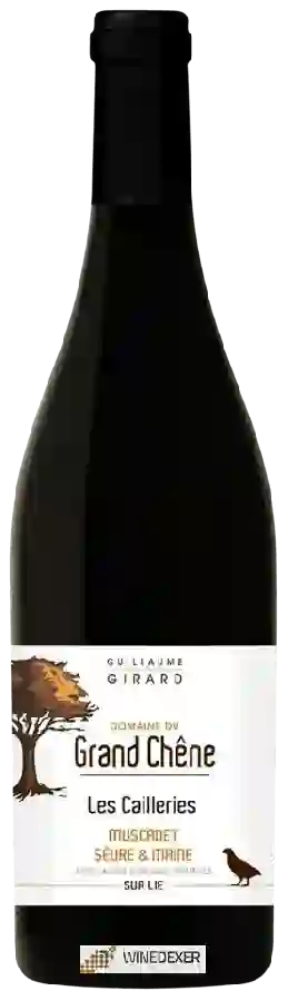 Winery Patrick Girard - Domaine du Grand Chene Les Cailleries Muscadet Sèvre et Maine Sur Lie