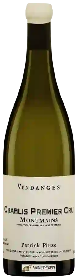 Winery Patrick Piuze - Montmain Chablis 1er Cru