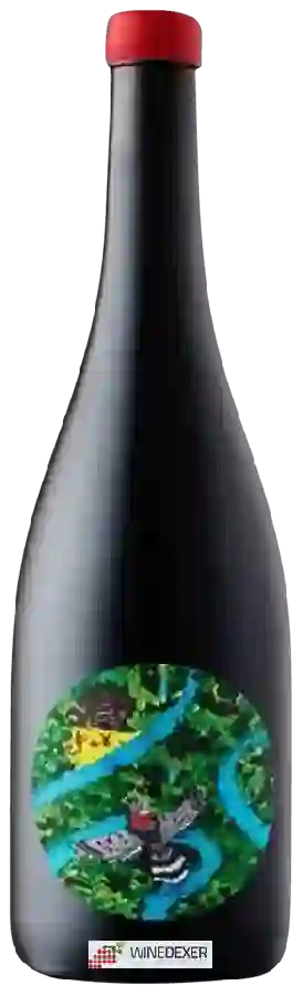 Winery Patrick Sullivan - Amazon Winery Patrick Sullivan - Amazon