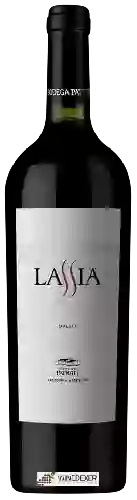 Winery Patritti - Lassia Malbec