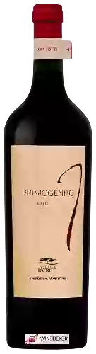 Winery Patritti - Primogénito Malbec