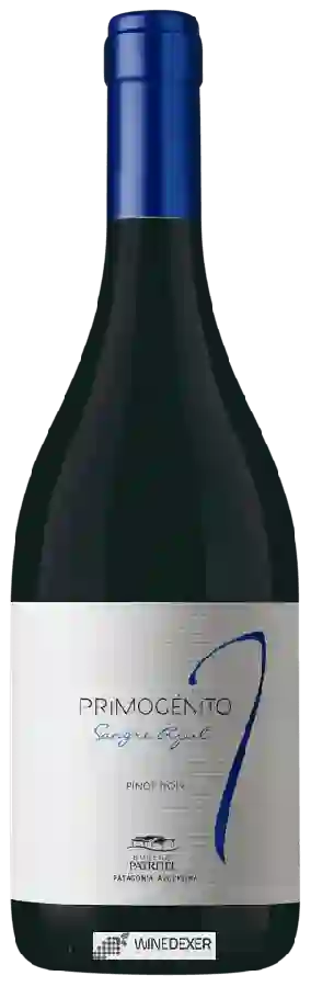 Winery Patritti - Primogénito Sangre Azul Pinot Noir Winery Patritti - Primogénito Sangre Azul Pinot Noir