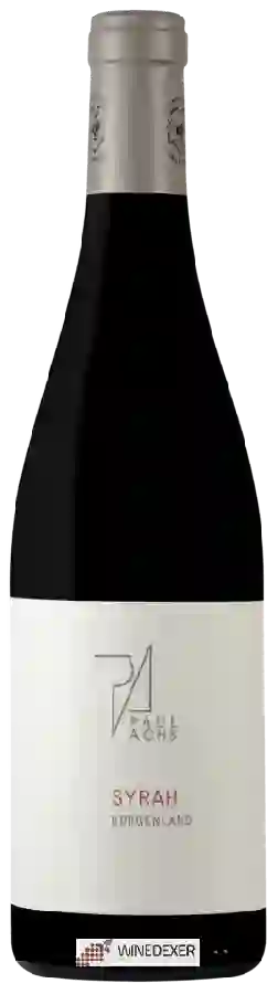 Winery Paul Achs - Syrah