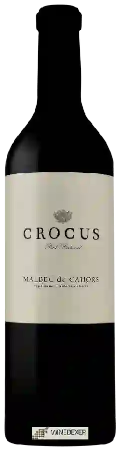 Winery Crocus - Malbec de Cahors Winery Crocus - Malbec de Cahors