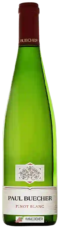 Winery Paul Buecher - Pinot Blanc