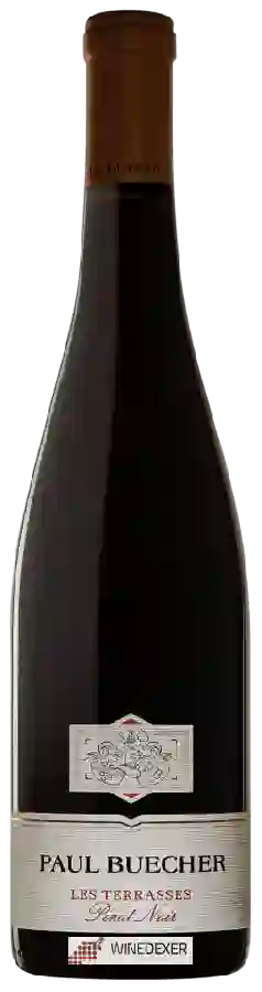 Winery Paul Buecher - Les Terrasses Pinot Noir