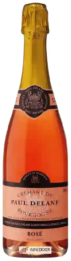 Winery Paul Delane - Crémant de Bourgogne Brut Rosé Winery Paul Delane - Crémant de Bourgogne Brut Rosé
