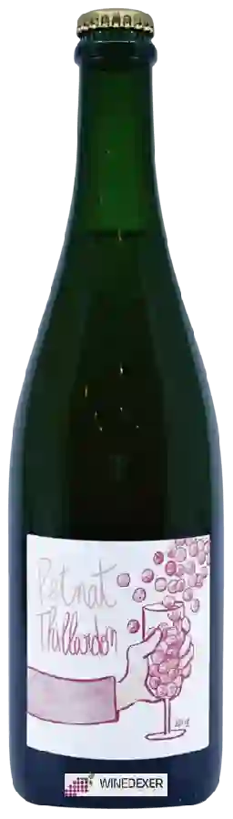 Winery Paul Henri Thillardon - Petnat