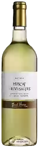 Winery Paul Herpe - Antinéa Muscat de Rivesaltes