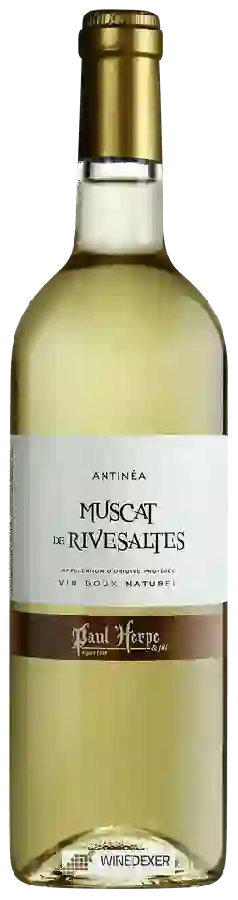 Winery Paul Herpe - Antinéa Muscat de Rivesaltes Winery Paul Herpe - Antinéa Muscat de Rivesaltes