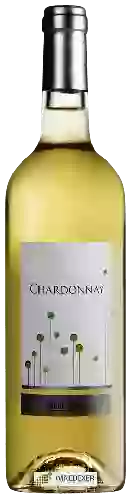 Winery Paul Herpe - Chardonnay