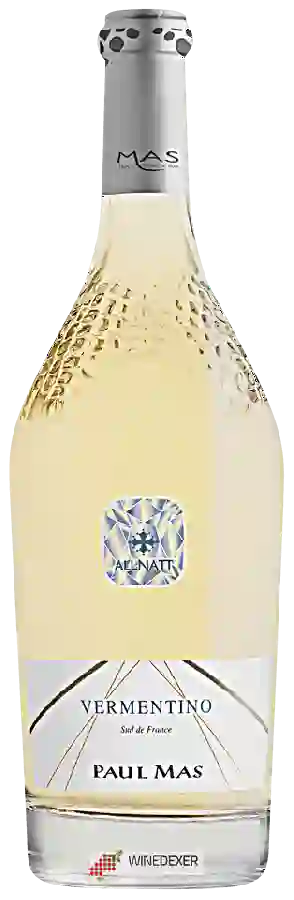 Winery Paul Mas - Allnatt Vermentino Winery Paul Mas - Allnatt Vermentino