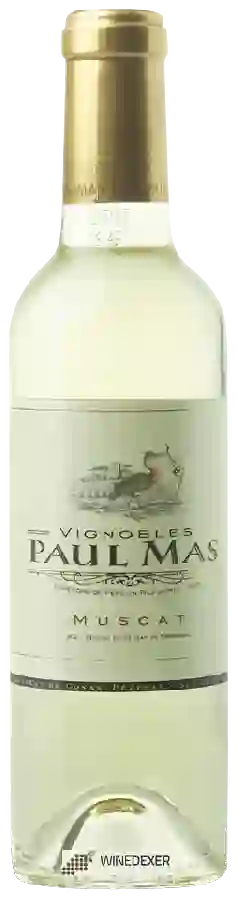 Winery Paul Mas - Muscat