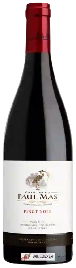 Winery Paul Mas - Pinot Noir Winery Paul Mas - Pinot Noir