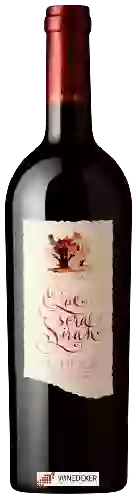 Winery Paul Mas - Que Sera Sirah Shiraz