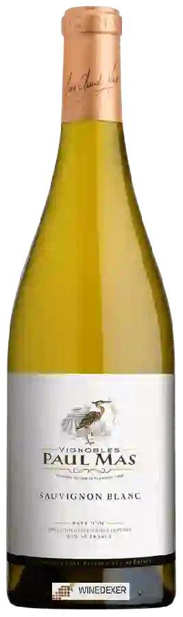 Winery Paul Mas - Sauvignon Blanc