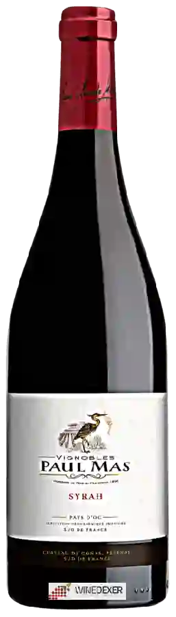 Winery Paul Mas - Syrah