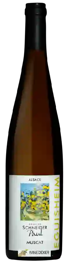 Winery Paul Schneider - Muscat