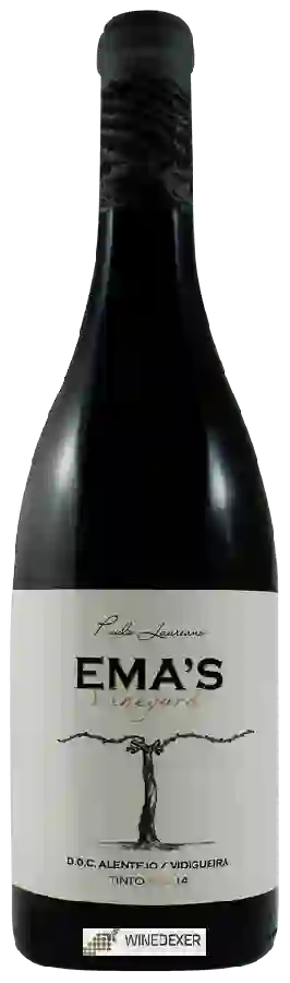 Winery Paulo Laureano - Ema's Vineyard Winery Paulo Laureano - Ema's Vineyard
