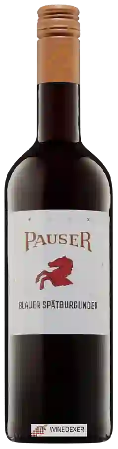 Weingut Pauser - Blauer Spätburgunder