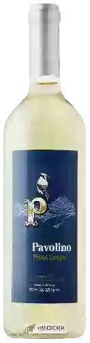 Winery Pavolino - Pinot Grigio