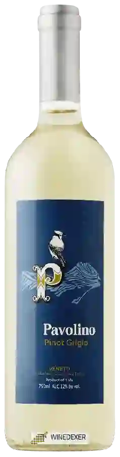 Winery Pavolino - Pinot Grigio