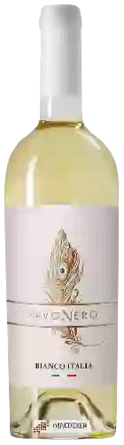 Winery PavoNero - Bianco