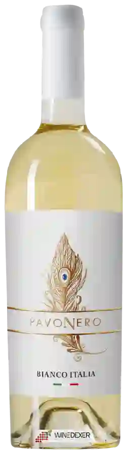Winery PavoNero - Bianco Winery PavoNero - Bianco