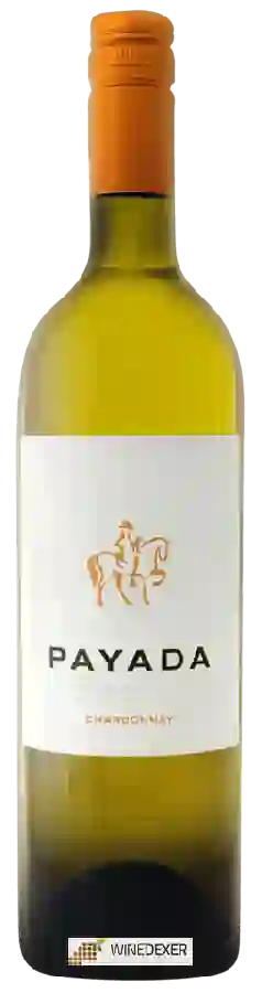 Winery Payada - Chardonnay