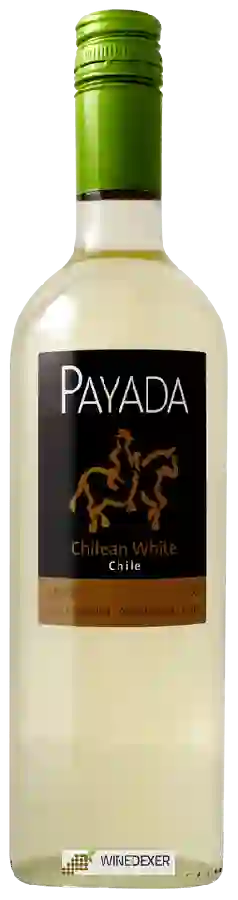 Winery Payada - Chilean White Winery Payada - Chilean White