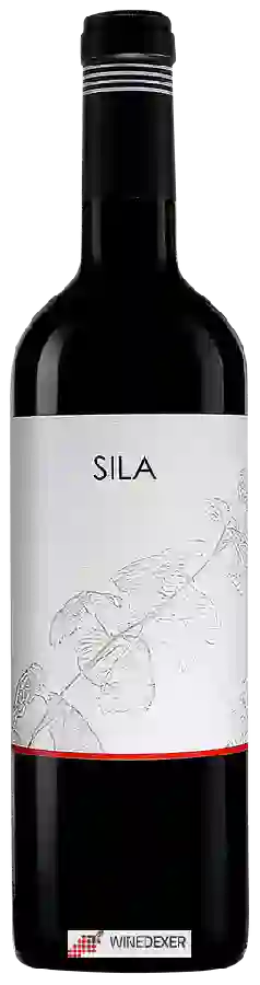 Winery Pazos del Rey - Sila Mencia