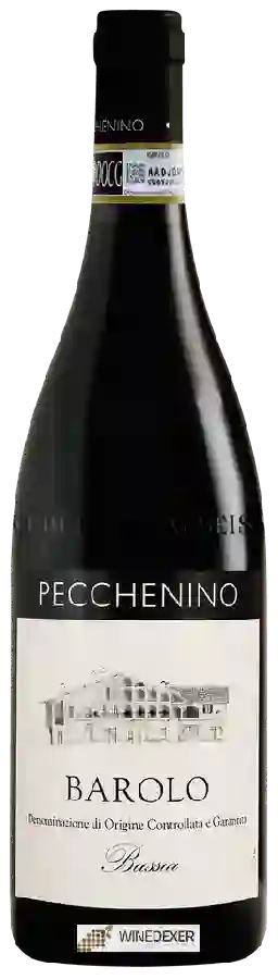 Winery Pecchenino - Barolo Bussia