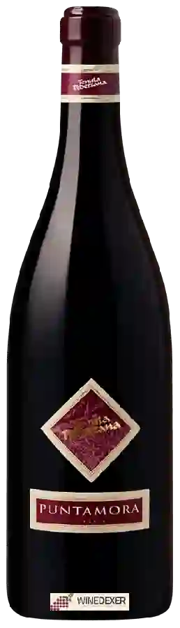 Winery Tenuta Pederzana - Puntamora