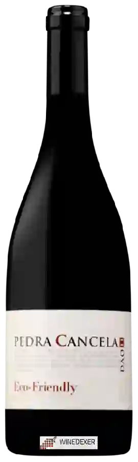 Winery Pedra Cancela - Eco Friendly