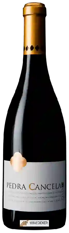 Winery Pedra Cancela - Reserva Tinto Winery Pedra Cancela - Reserva Tinto